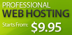 Professional Web Hosting From $9.95
